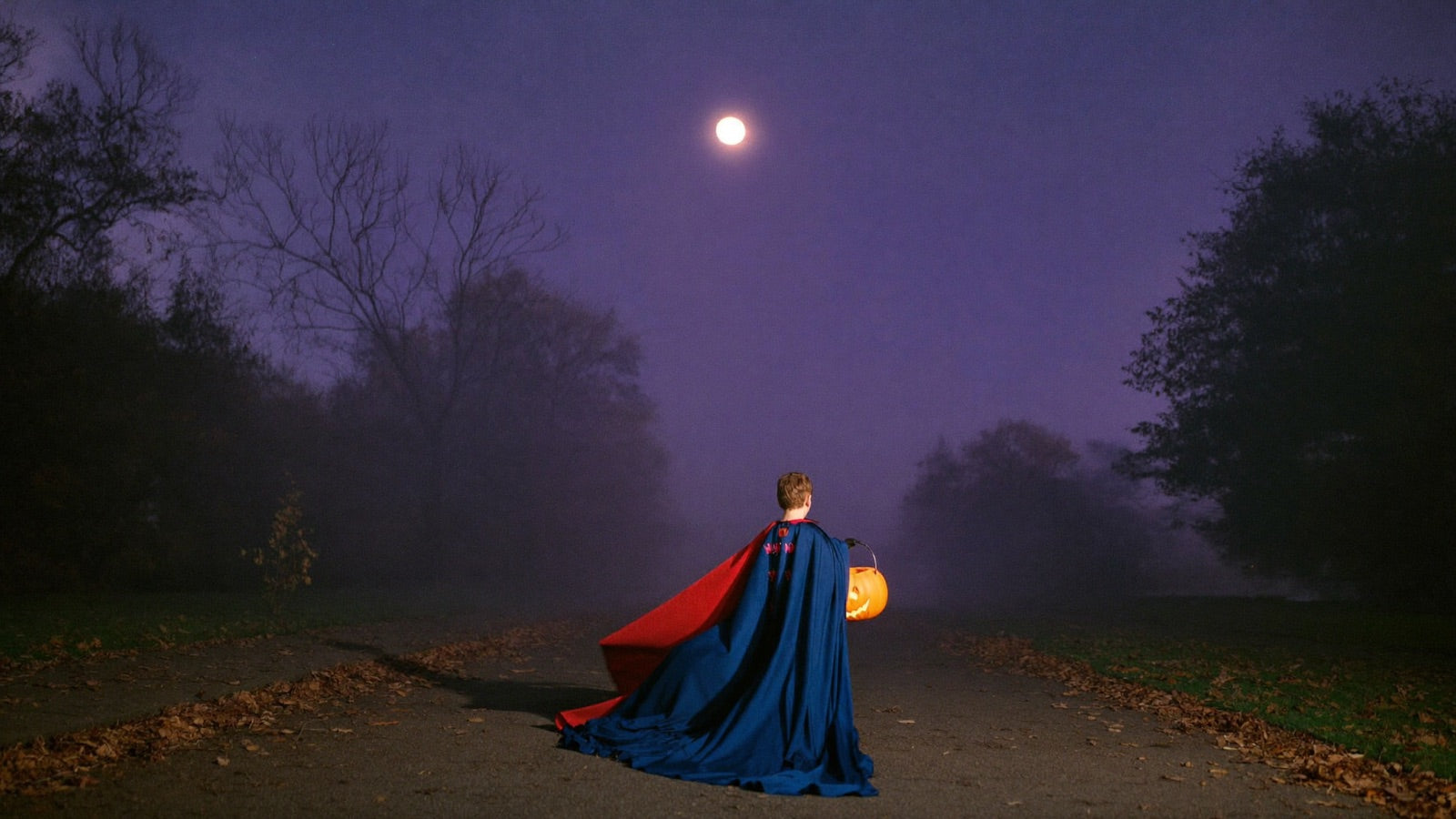 The night belongs to them.
